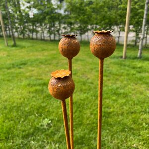 Set van 3 tuinstekers papaver