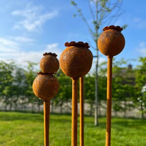 Set van 5 tuinstekers papaver