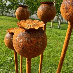 Set van 7 tuinstekers papaver