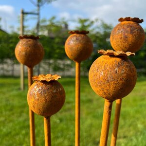 Set van 9 tuinstekers papaver