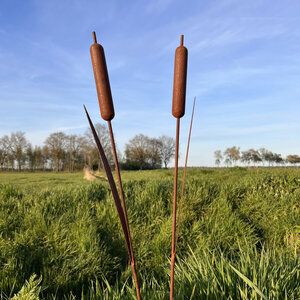 Set van 2 tuinstekers Lisdodde