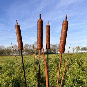 Set van 4 tuinstekers Lisdodde