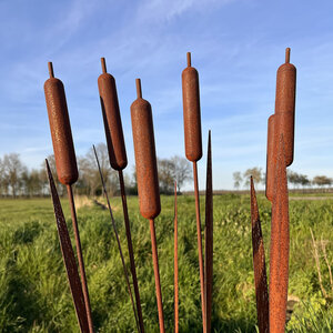 Set van 4 tuinstekers Lisdodde