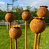 9 papaver metaal roest patina